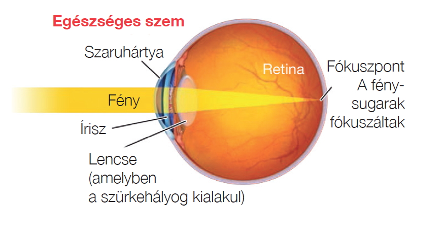 📖Számítógépes látás - Wikipédia